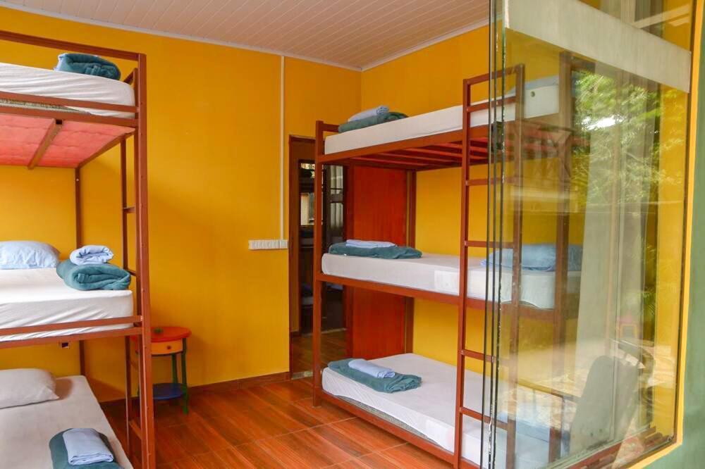 Hostel Mpb Ilha Grande エクステリア 写真